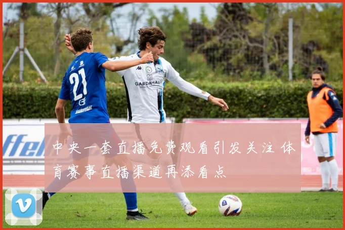中央一套直播免费观看引发关注 体育赛事直播渠道再添看点